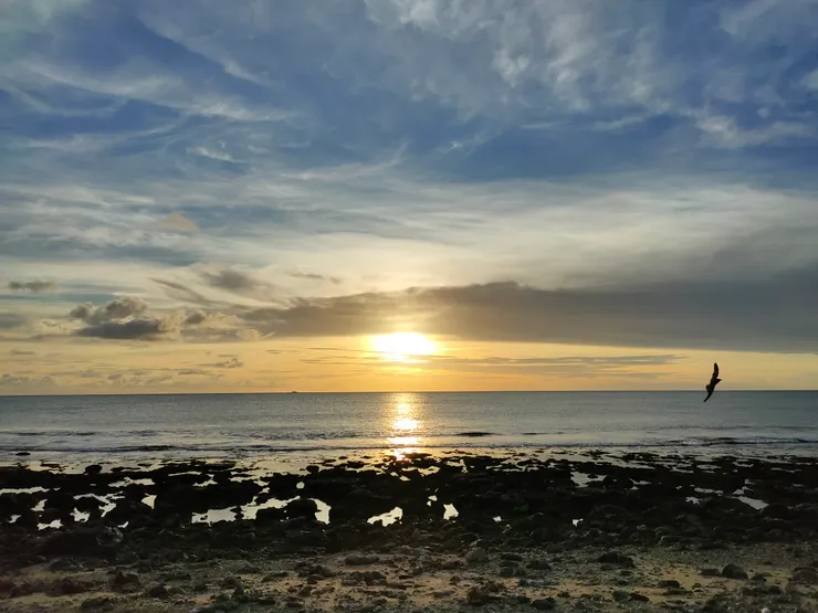 在車程約十五分鐘的海岸看夕陽