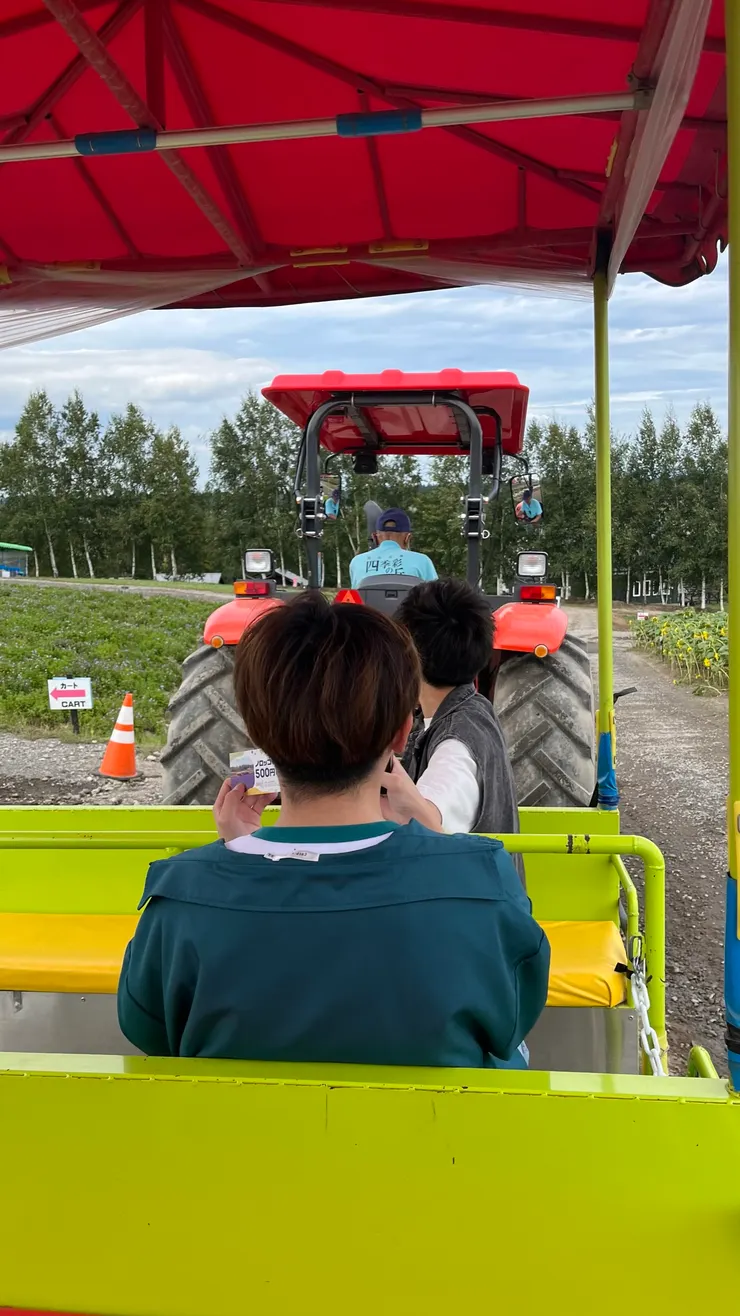 真的很有在農村的感覺。