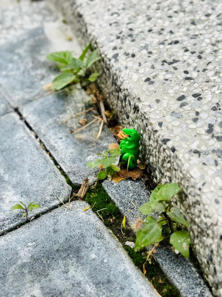 短短的一條路我們都會發現好玩的事,有次發現竟然有隻吃東西的恐龍!