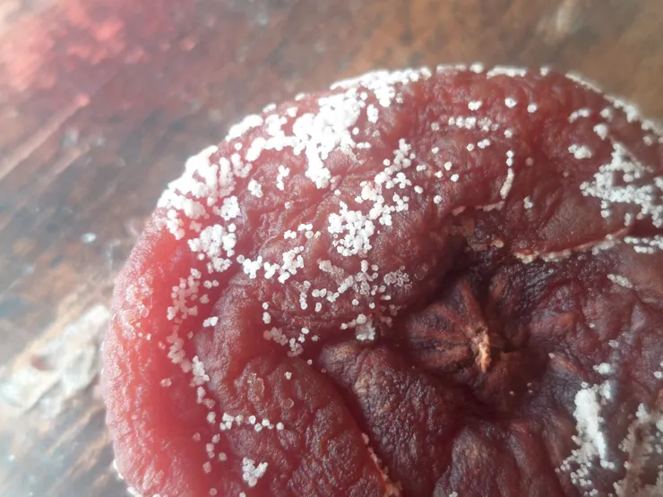 一顆差點被丟到垃圾筒的發霉柿餅 竟出現如此逆轉，令人不可思議！