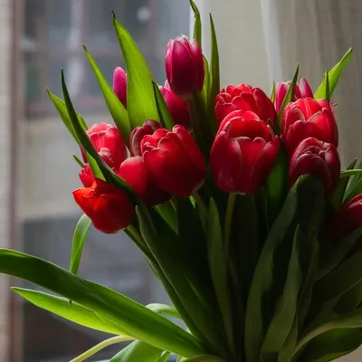 always a festival to celebrate的沙龍