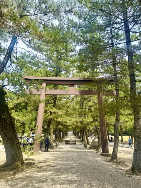 神門通りの松林參道