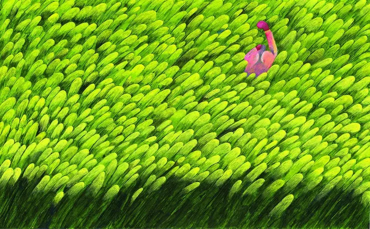 來自作者臉書