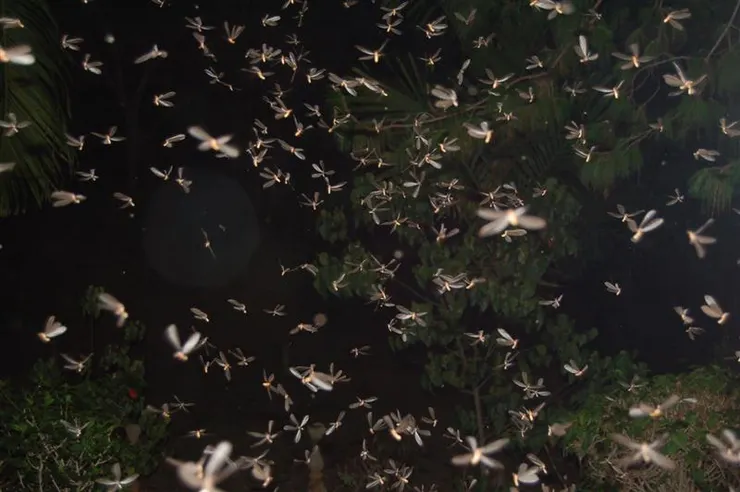 Source: Ganesh Subramaniam