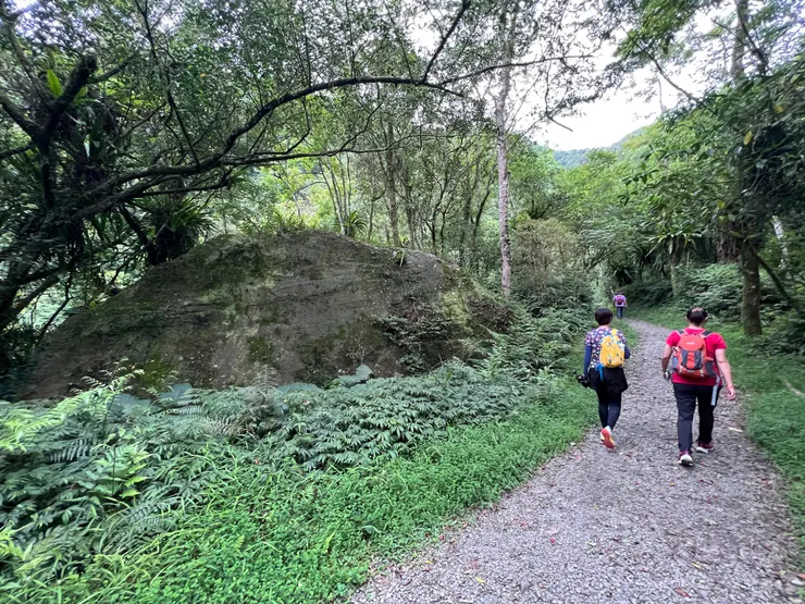 進入正式步道有樹蔭，傘可以收了。