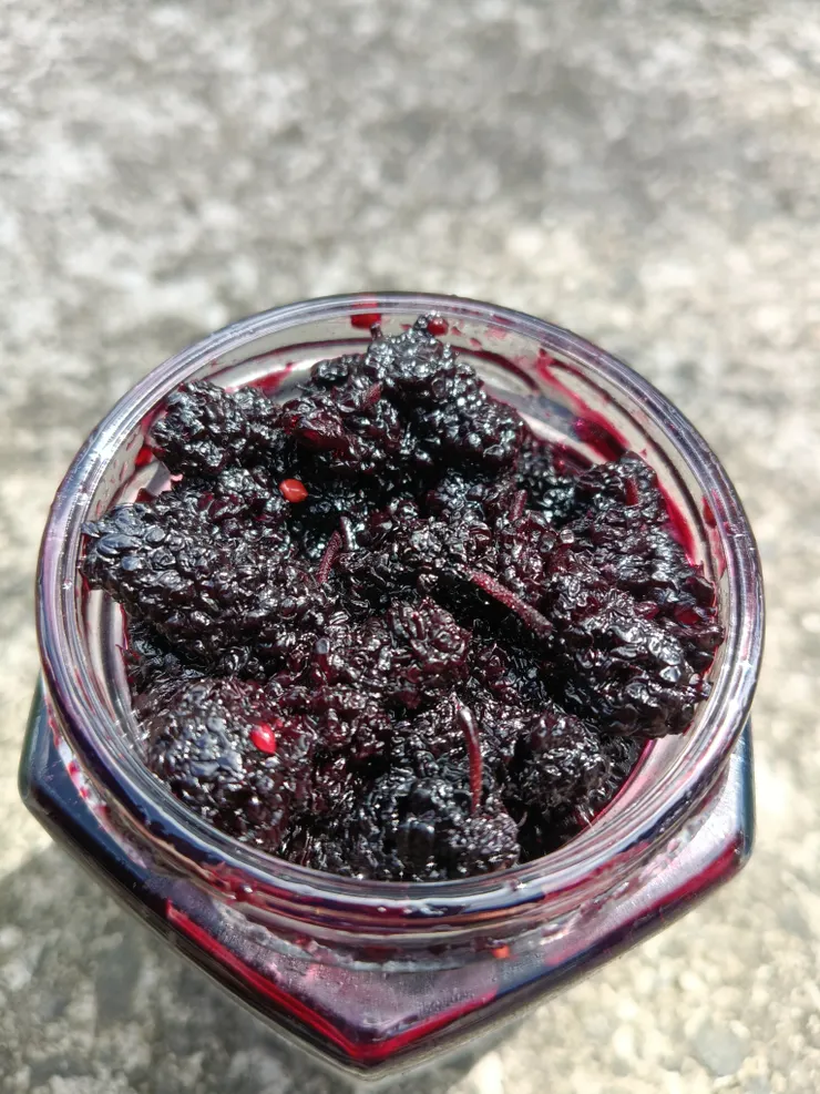 屏東內埔學姊製作