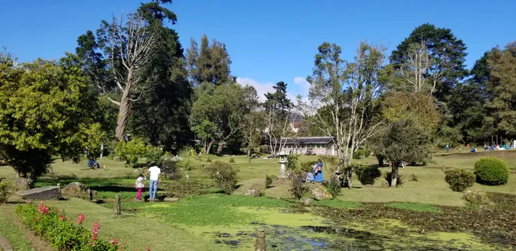 和今早截然不同的景色