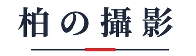 小柏的攝影筆記