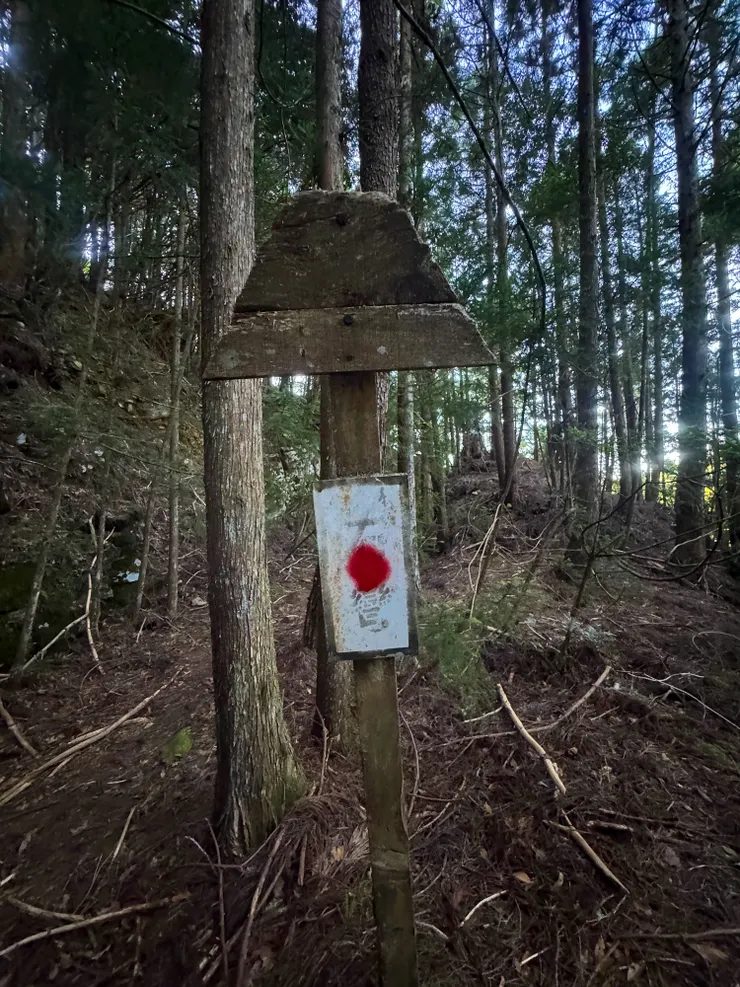 720林道上的老東西