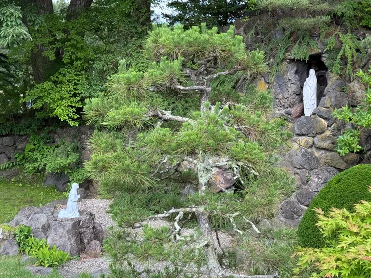 少女的祈禱，天主教的神蹟故事