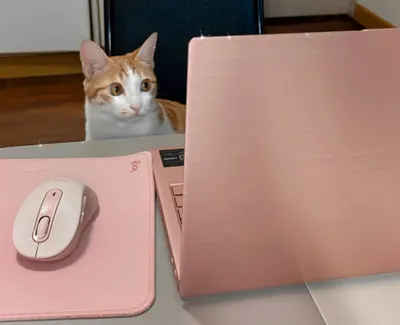 實驗筆記 | 書寫的起頭