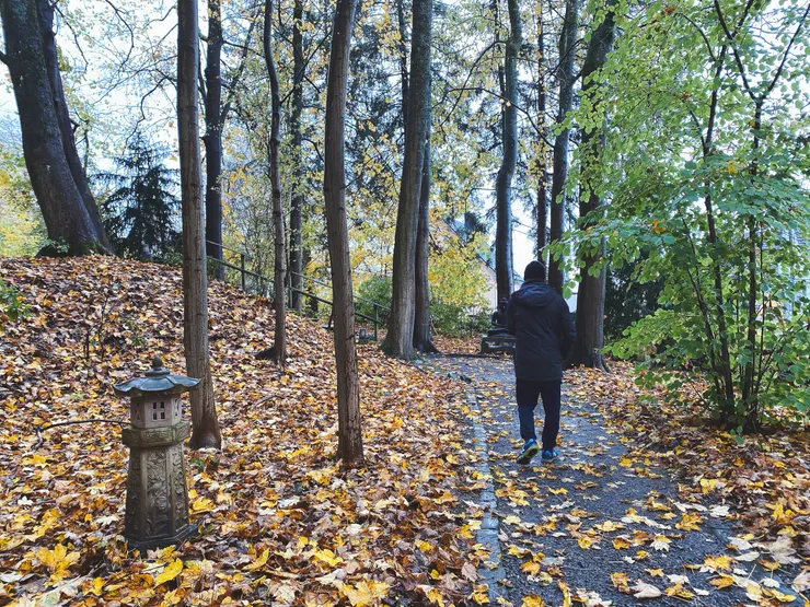 抵達第一天，與先生在庭院散步