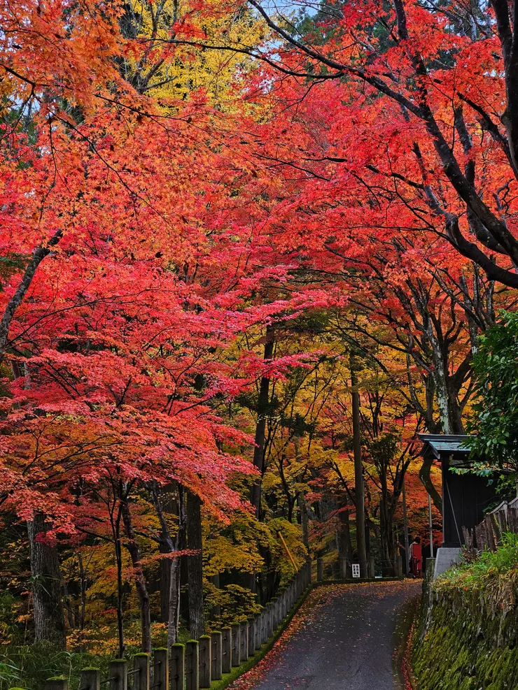 高山日枝神社