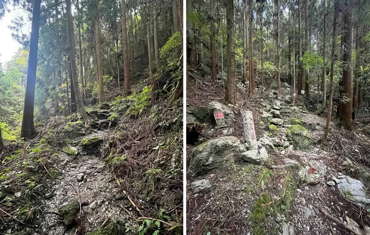 一開始就有一小段不太好走的山路