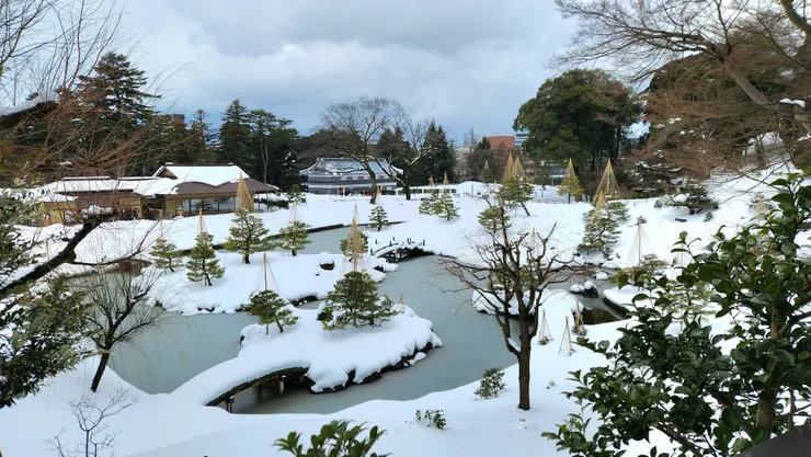 斜坡上往下拍的玉泉院丸庭園