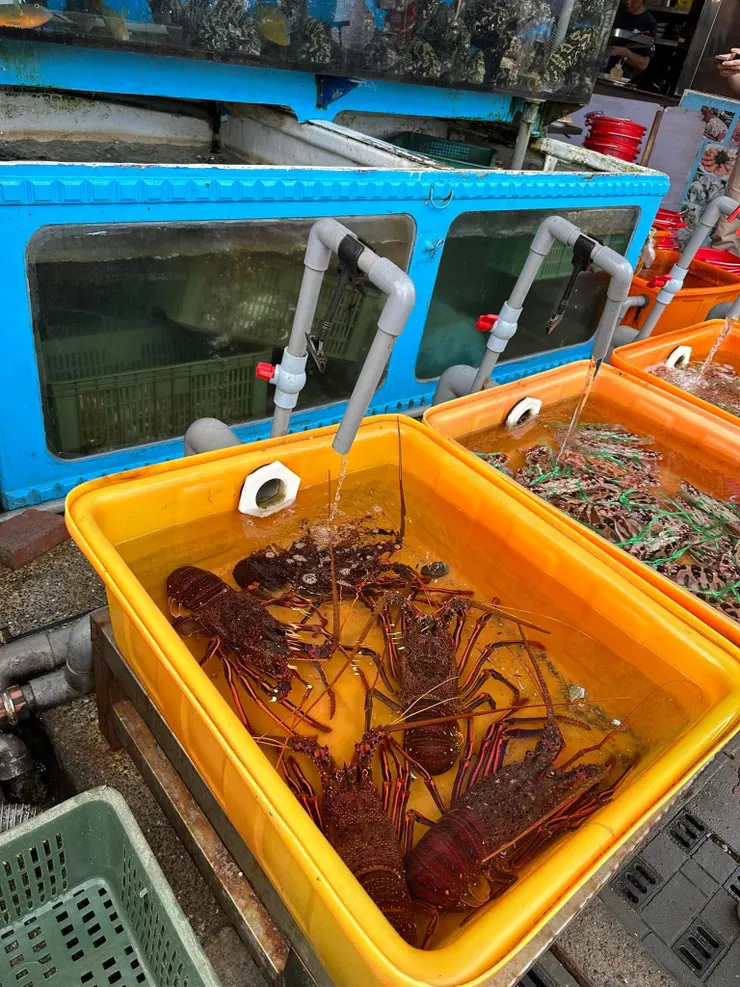 我們喜歡把海鮮熱炒前的水箱當作水族館那般親近