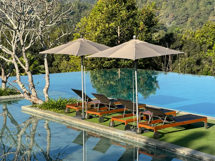 大白天太陽太曬，不是下水的好時間，到了黃昏就會有房客冒出來