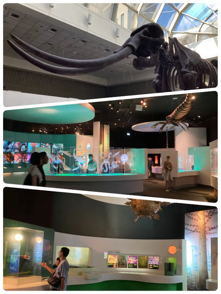生命科學廳有許多互動設備可以玩