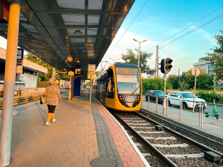 shot by Emma@07/2024.