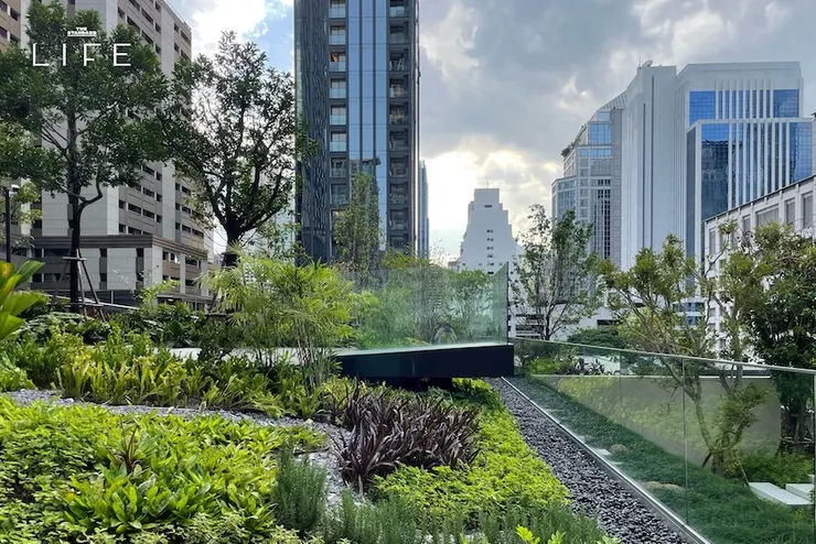 圖片取自 The Standard – 20 อาคารในกรุงเทพฯ ที่แค่เดินเข้าไปก็ได้สัมผัสกับธรรมชาติ!