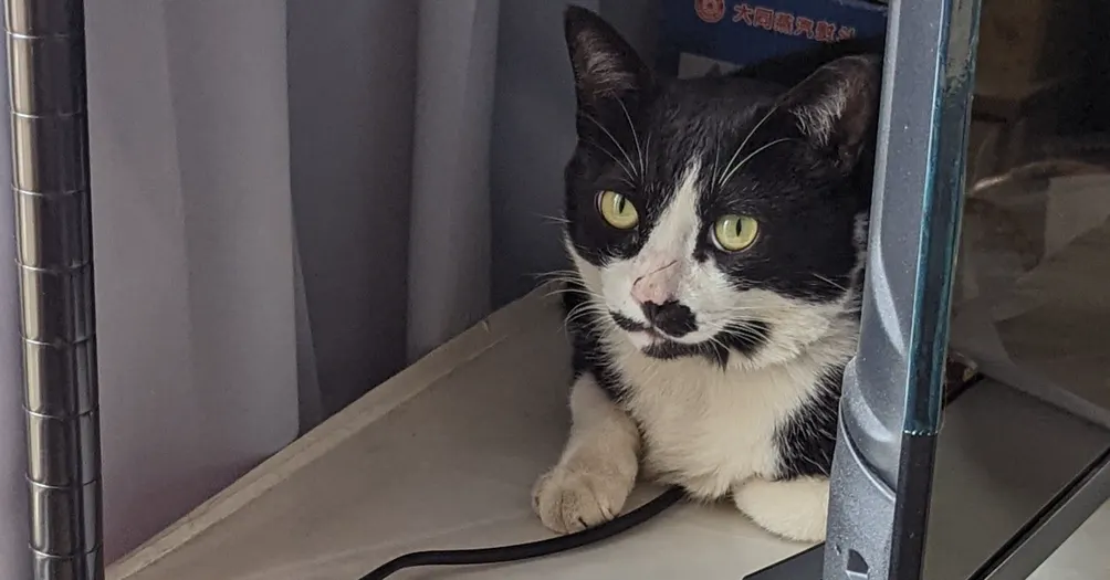 typedef struct 隨筆記{