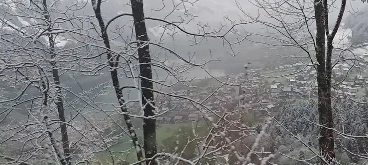 沿途風景 火車到海拔高處 開始下雪了