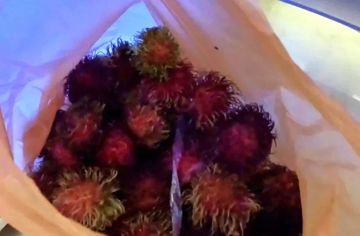 馬來西亞美食 路邊水果攤|紅毛丹