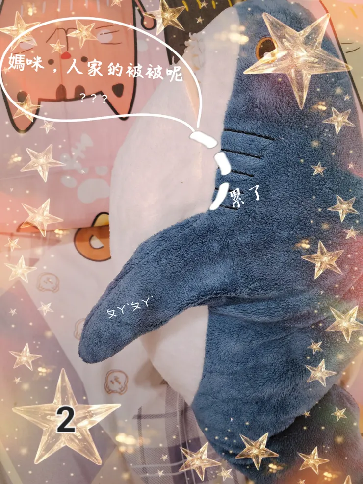 圖。文／布恣芽朵