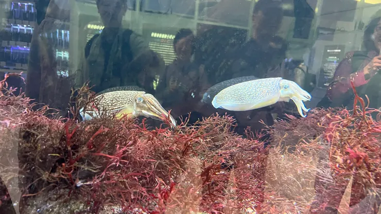 大家認識生物，也就更有保育意識。