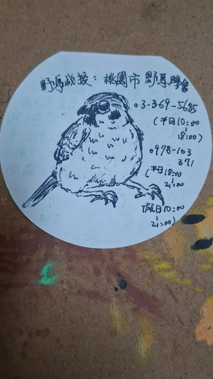 在舌切麻雀一篇的筆記，自己畫了一隻麻雀。用對了筆，畫出來的麻雀感覺意外的有麻雀感。