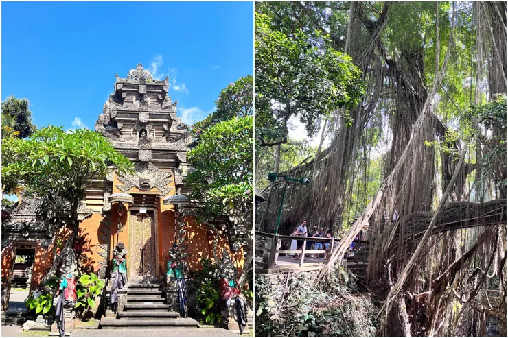 （Claire Chen提供）