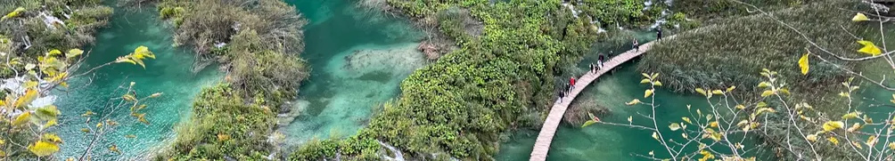 克蘿莉思的沙龍