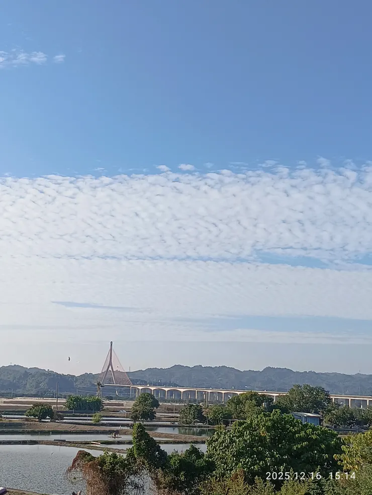 嶺橋別后淚滿衣