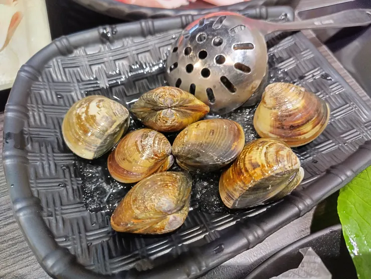 新開幕送的蛤蜊