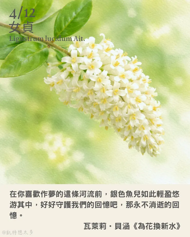 女貞×瓦萊莉‧貝涵《為花換新水》