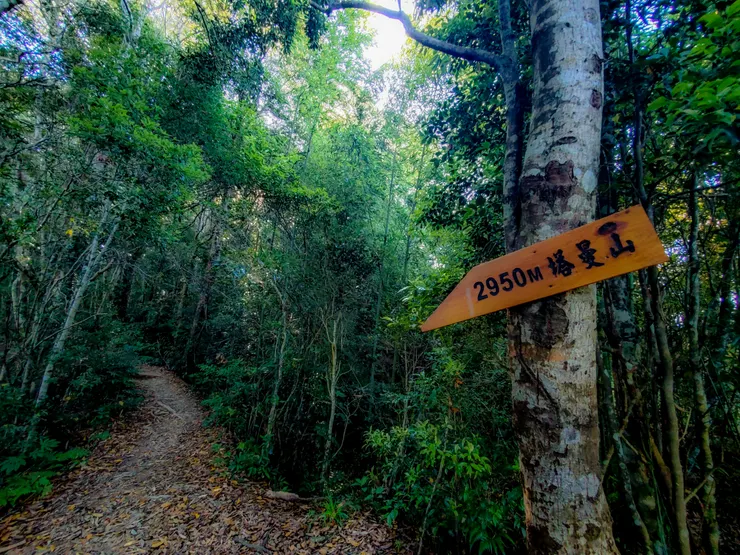 誤以為塔曼標高2950,嚇了一跳!原來是指單程距離~😅