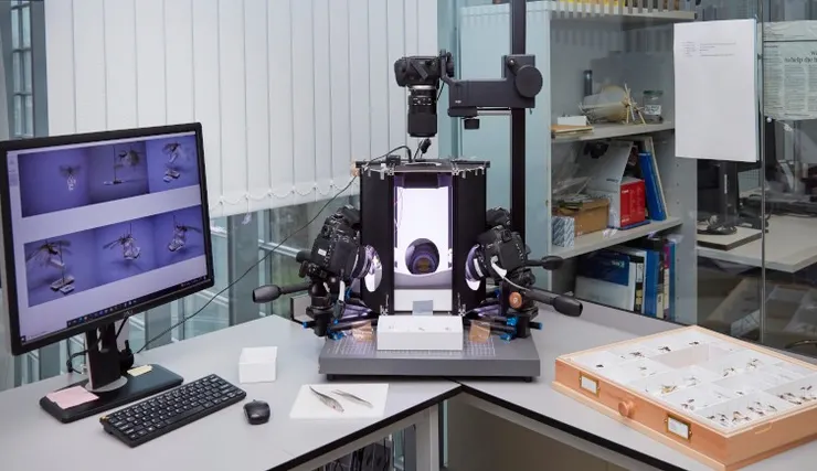 圖片來源：Digitising the NHM