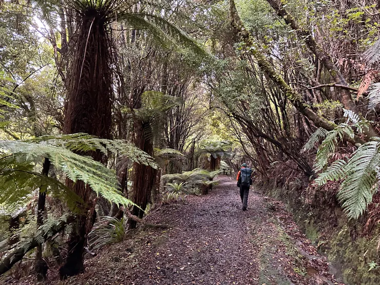 最後的路是腳踏車也可騎乘的爛泥大路，走久了不免覺得單調無聊。
