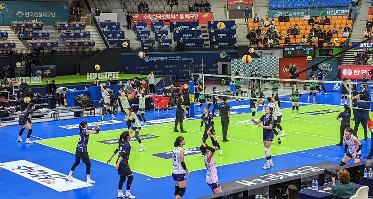 照片右邊的是道路的忙內們，右邊的是比較資深的選手