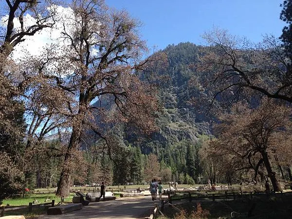 前往遊客中心的路途