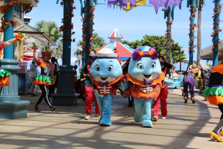 圖片來源：遠雄海洋公園