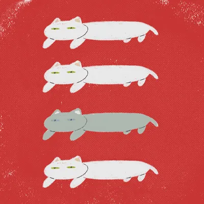 我們家一共有四隻喵