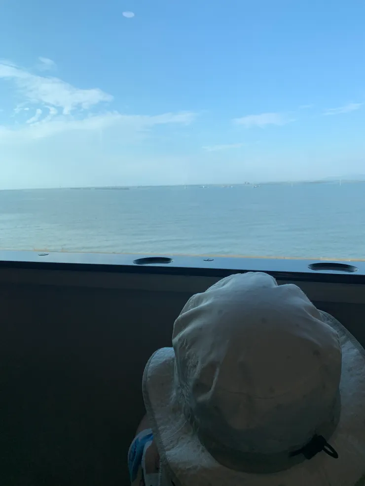 好奇的大眼眨呀眨