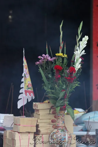 雞冠花是中元與七夕少不了的祭祀花卉