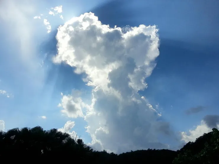 圖片來源：來自安奇珮奇的隨手拍