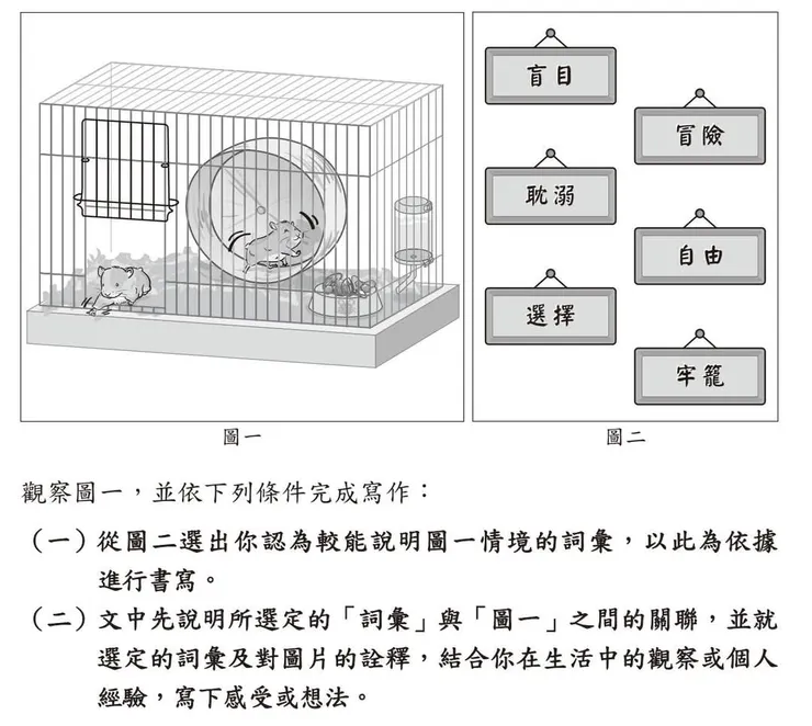 2025年國中會考題目