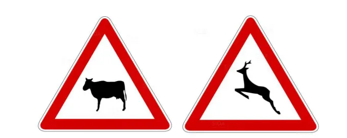 注意動物交通號誌