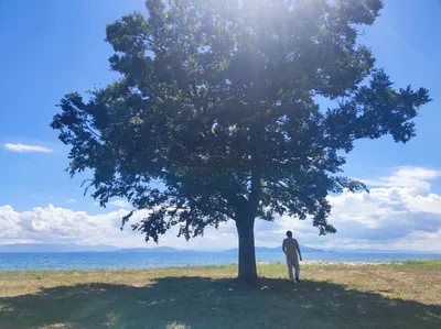 海外生活日常FB