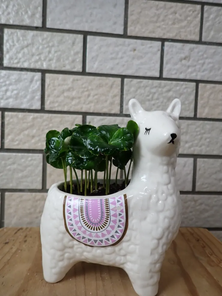 新店崇光社大114.04.23