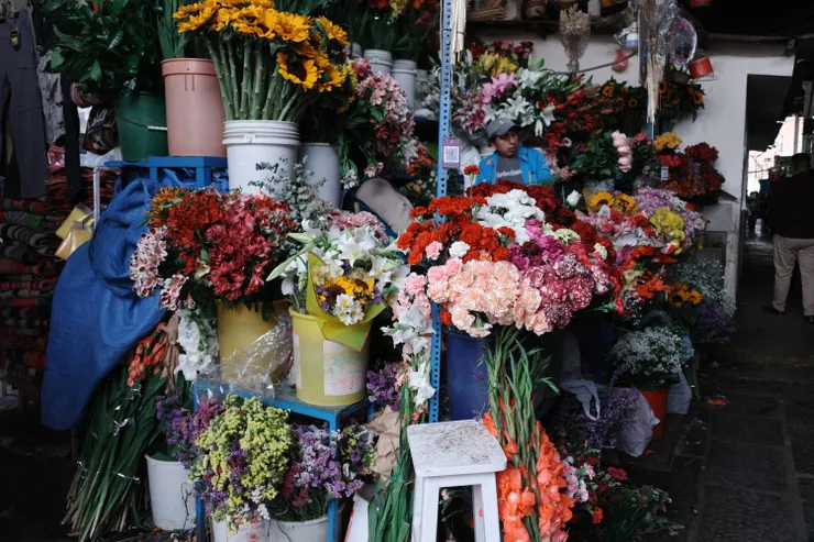 市場裡的花店，看到好多在台灣也會買的花材，好有親切感